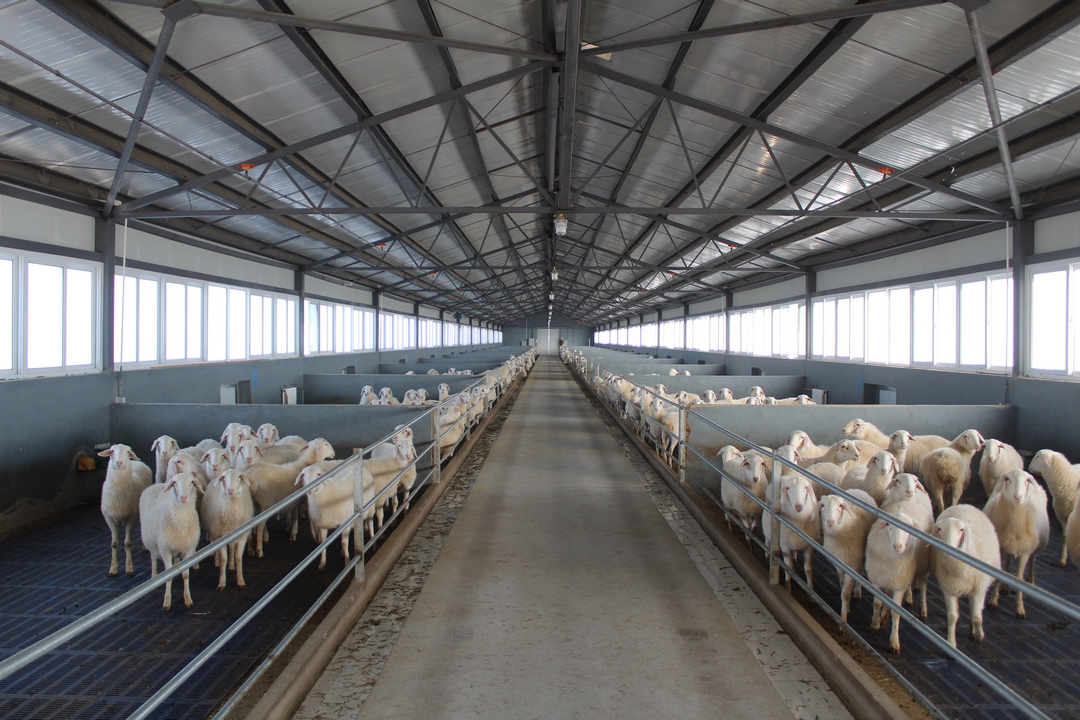 當好產(chǎn)業(yè)扶貧主力軍，打贏脫貧攻堅戰(zhàn)