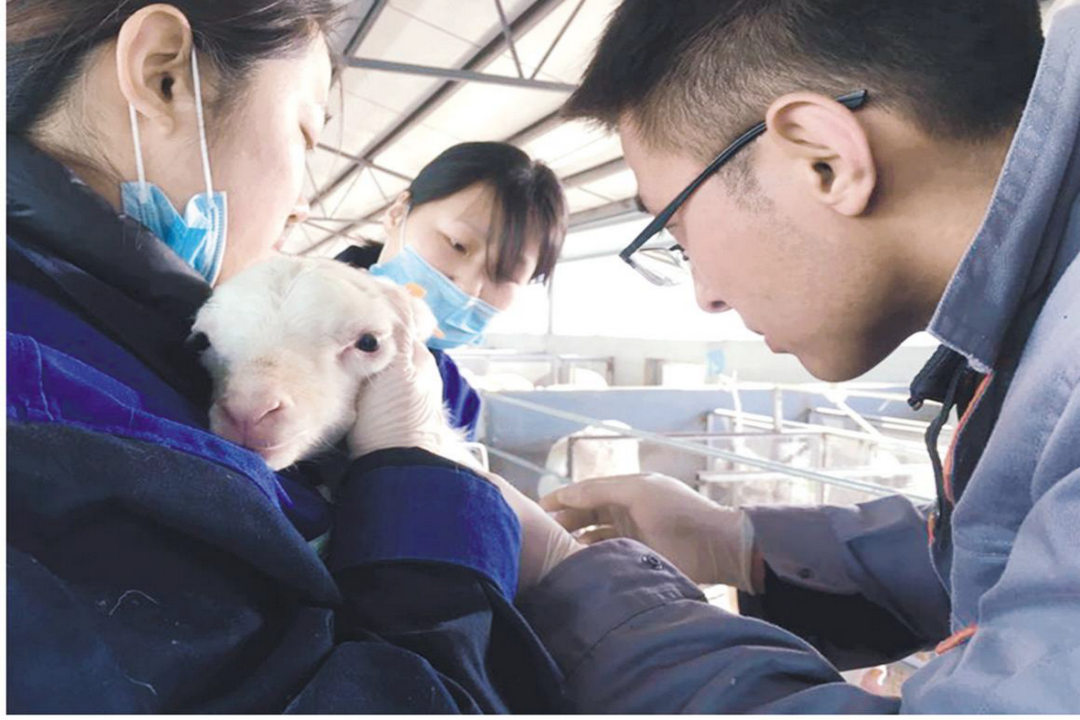 當好產(chǎn)業(yè)扶貧主力軍，打贏脫貧攻堅戰(zhàn)